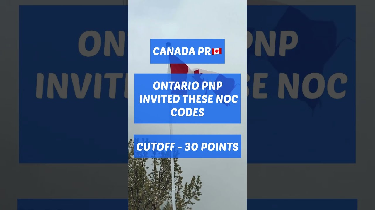 ONTARIO PNP INVITED THESE NOC CODES #canadavisaupdate #pnp