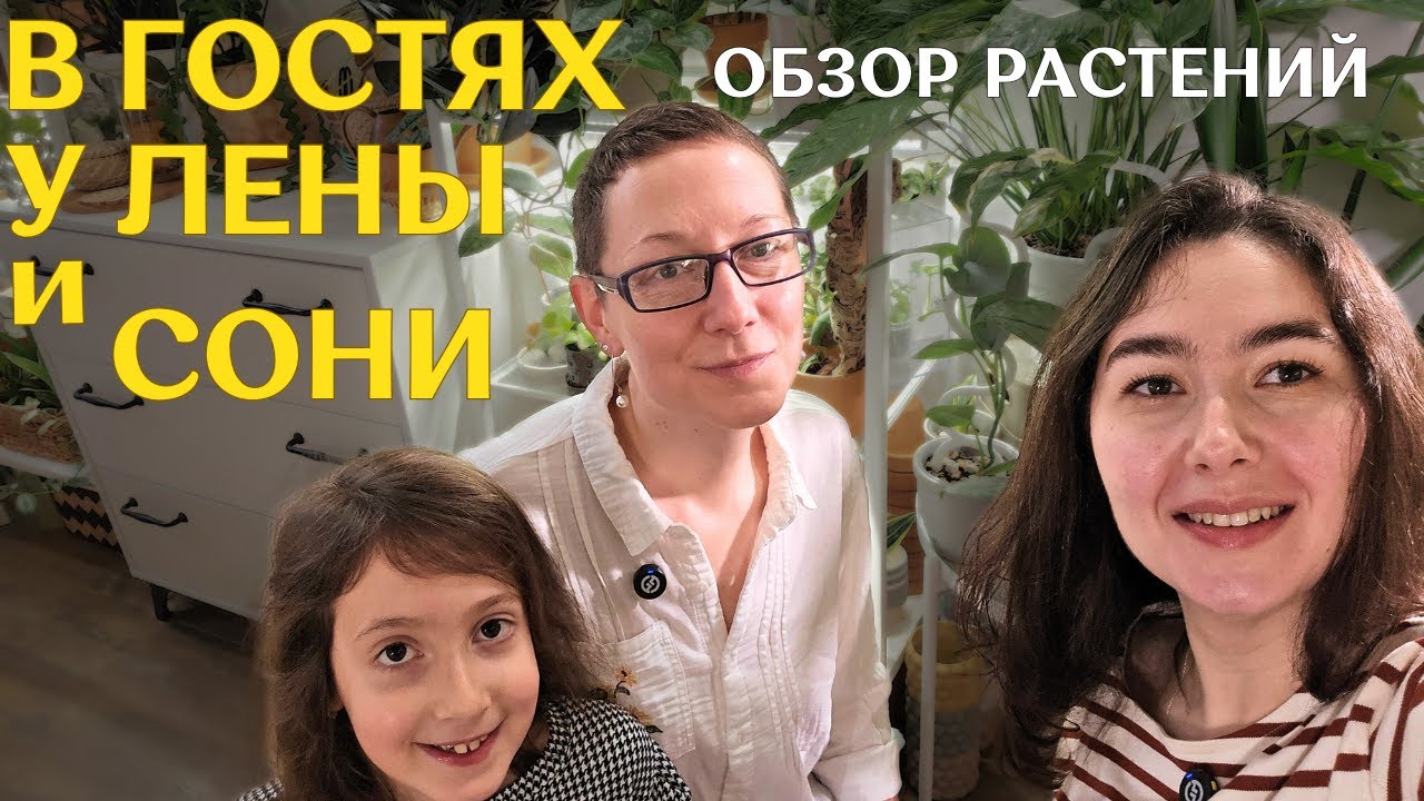 обзор РАСТЕНИЙ у цветочного БЛОГЕРА @lazygreedy ЕЛЕНЫ | стильное РАЗМЕЩЕНИЕ растений В ИНТЕРЬЕРЕ