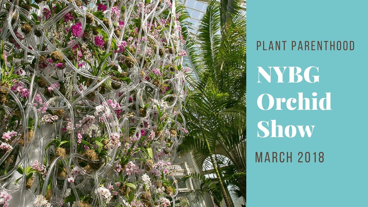 NYBG Orchid Show 2018