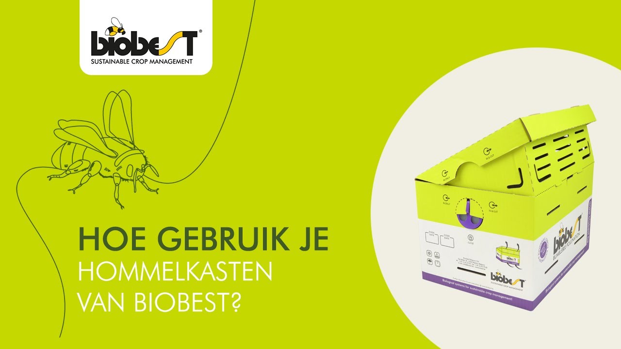 Hoe gebruik je hommelkasten van Biobest?
