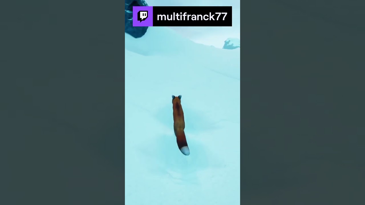 SPIRIT OF THE NORTH UN RENARD 🙂👍 | multifranck77 sur #gamer #multifranck77 #spiritofthenorth