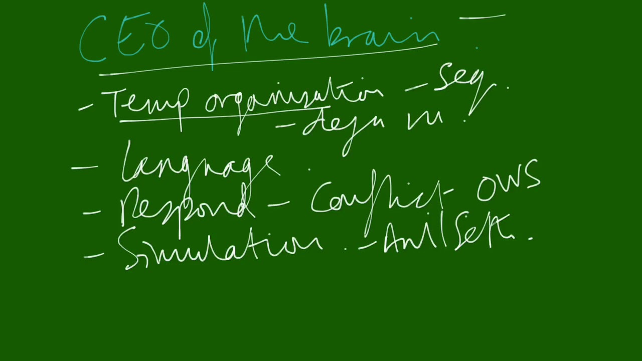 Overview of the Dorsolateral Prefrontal Cortex (DLPFC)