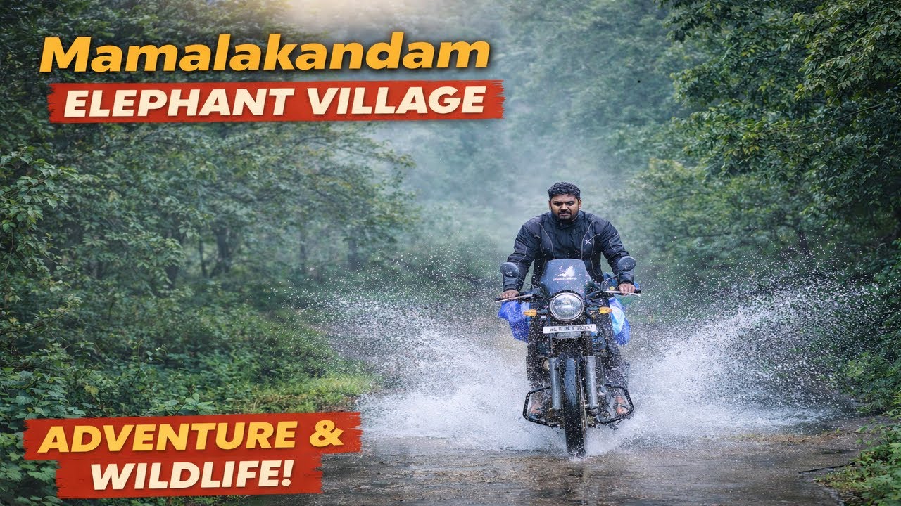 இடுக்கியின் சொர்க்க பூமி மாமலக்கண்டம் | Must visit place in monsoon#travel #ecotourism #4k #nature
