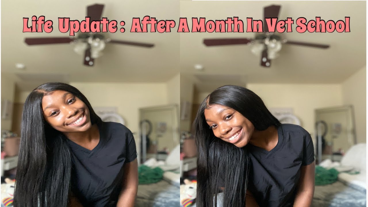 Life Update: After A Month In Vet School