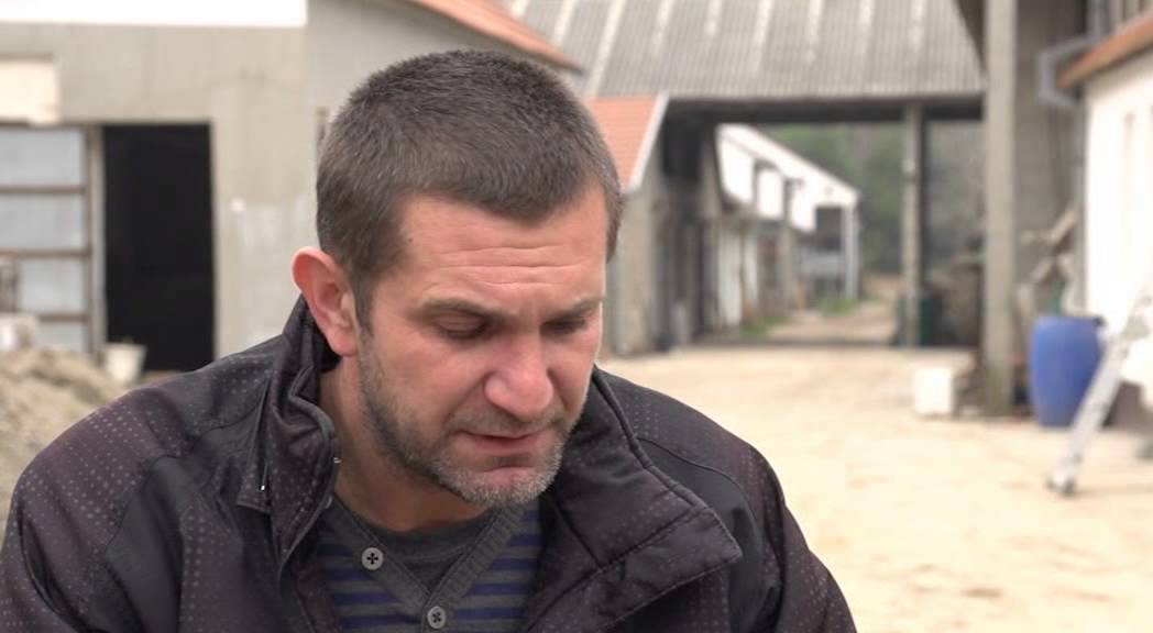 Farma svinja u selu Klenje   U nasem ataru 564