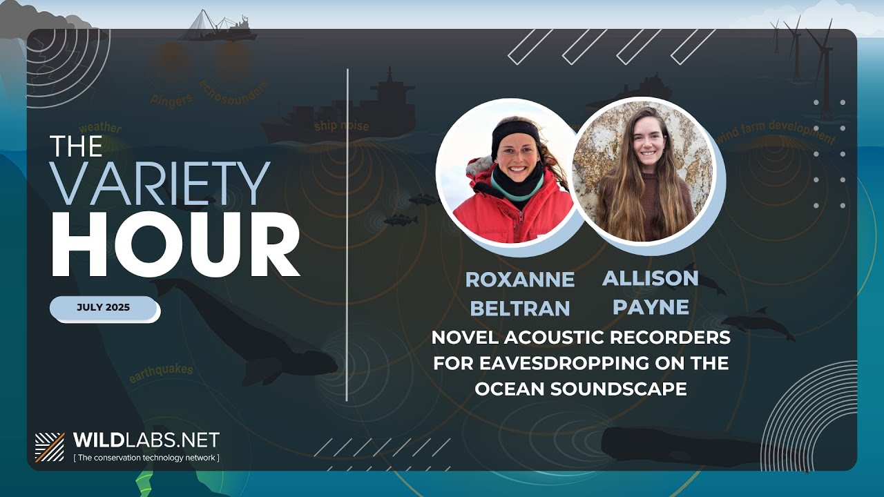 Roxanne Beltran & Allison Payne: Novel Acoustic Recorders for Eavesdropping on the Ocean Soundscape