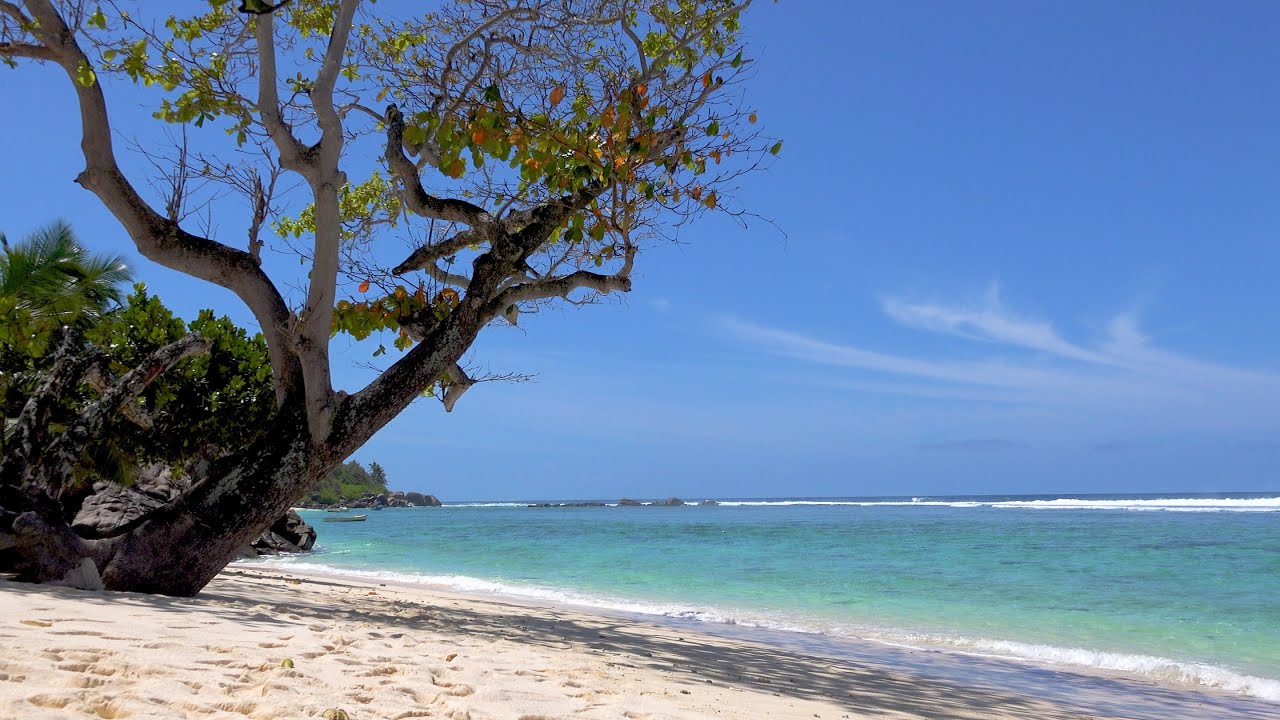 Seychelles 4K (Ultra HD) (Long)