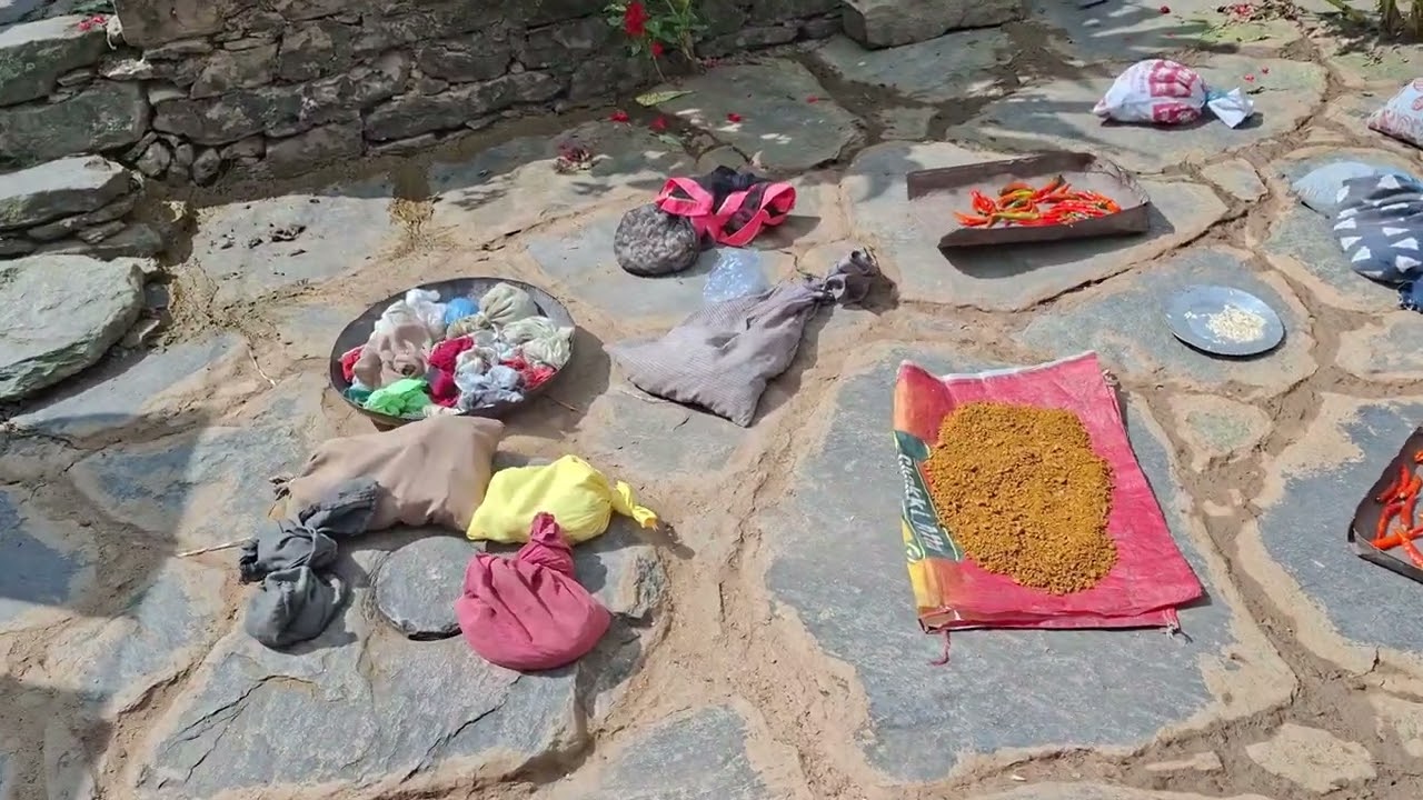 पापा और तायजी  की पुताई चल रही है।  24 November 2025