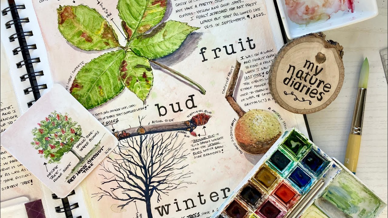 Beginner Watercolor Painting Tips for Trees in your Nature Journal