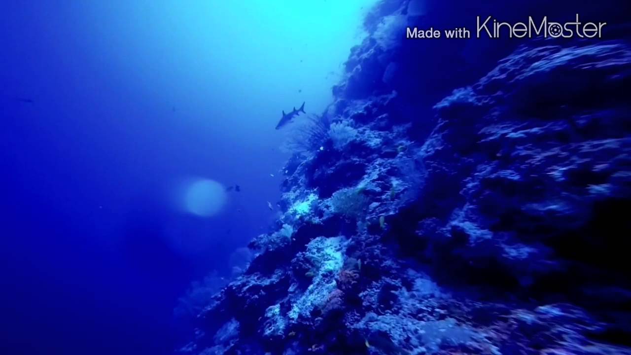 필리핀 투바타하 리버보트  Philippines Tubbataha Reefs