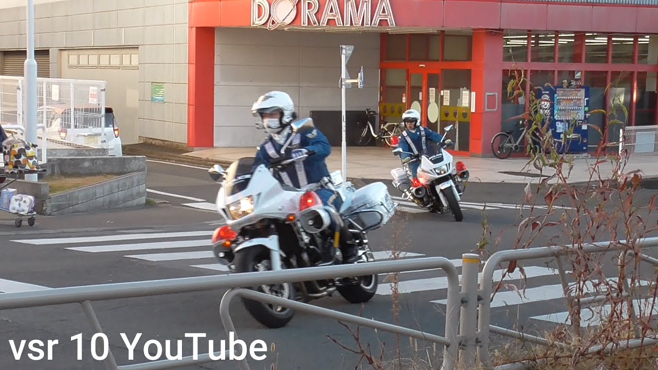いや殺人未遂だろ！！あと1秒違ったら…… ノーブレーキでぶっ飛ばす脳なしドライバー！！【歩行者妨害取り締まり4選】