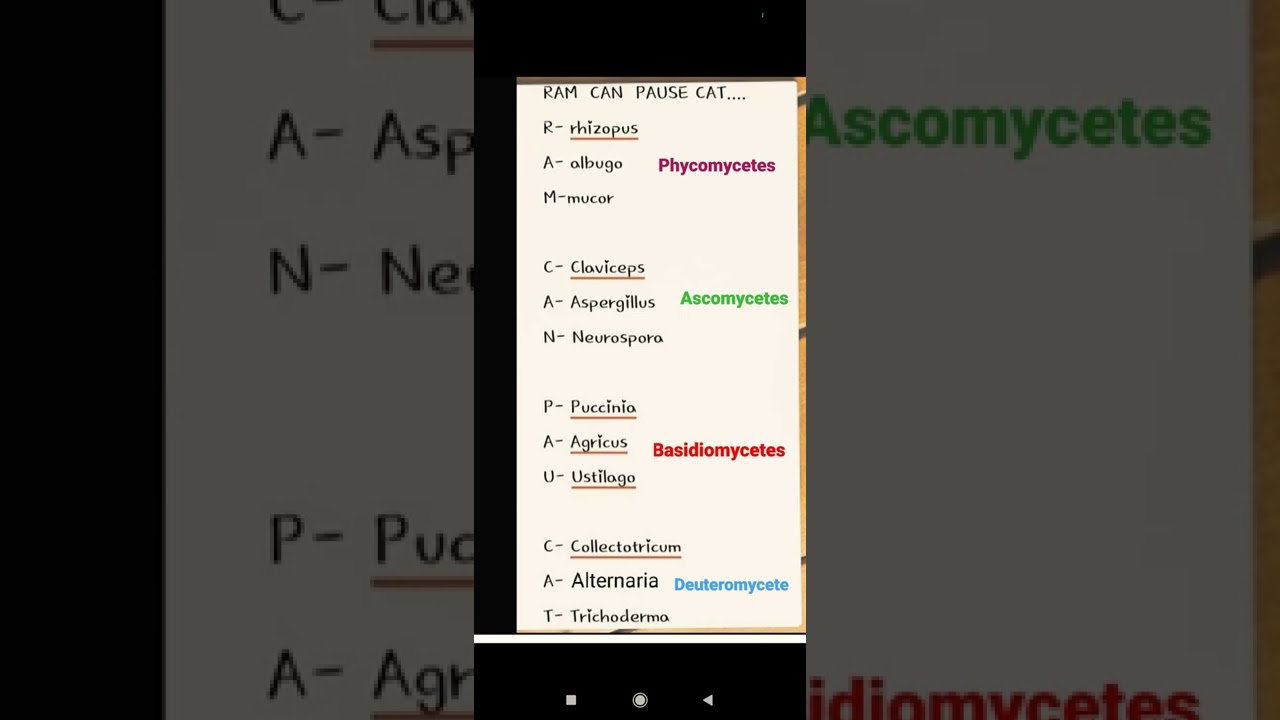 trick/mnemonic to learn fungi trick.                   #neetug#neet2022 #biologyshorts #biology