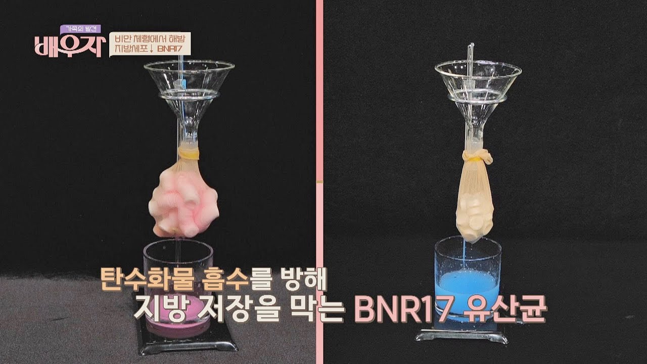 [다이어트 꿀팁] 탄수화물 흡수를 방해하는 'BNR17 유산균' | 가족의 발견 배우자 120회 | JTBC 221227 방송