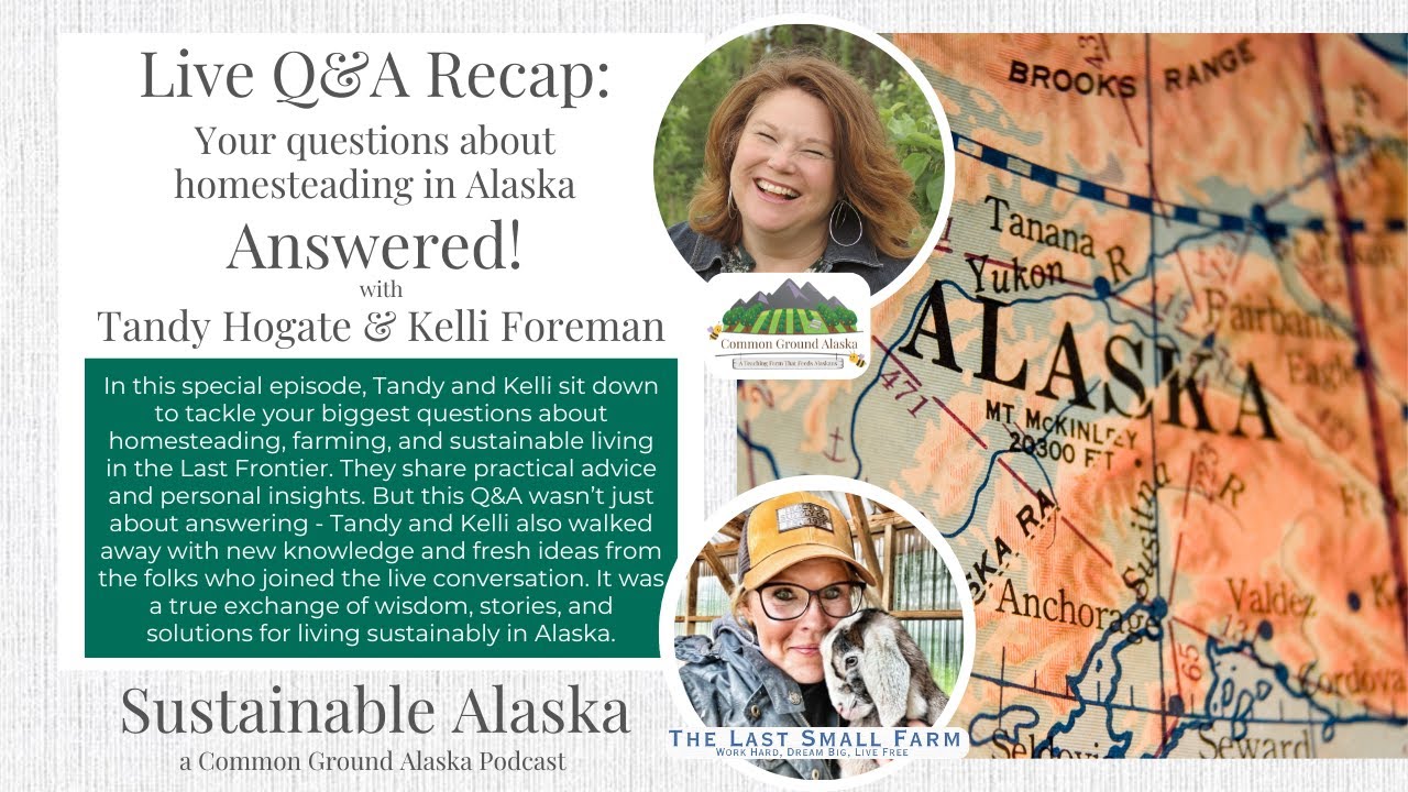 Live Q&A Recap: Your Questions about Homesteading in Alaska - Answered!