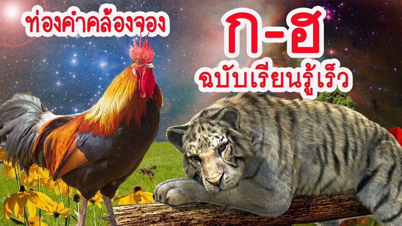 อ่าน ก.ไก่ เด็กเล็ก l คำคล้องจอง ก.ไก่ - ฮ.นกฮูก l อ่านสนุก เรียนรู้เร็ว