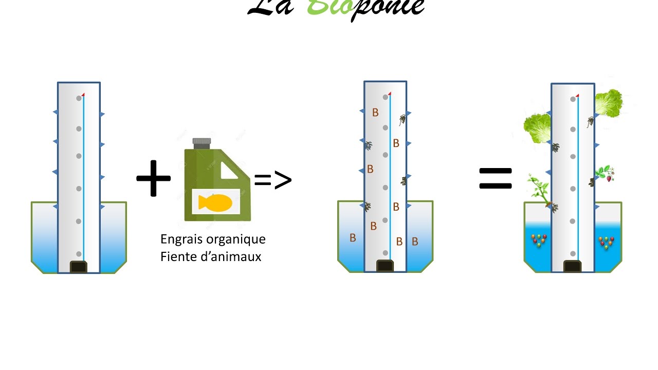 La solution nutritive en hydroponie, Bioponie ou Aquaponie