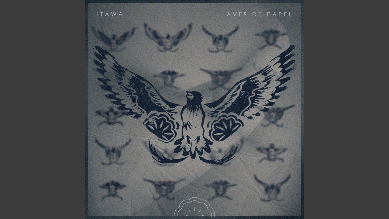 Aves de Papel