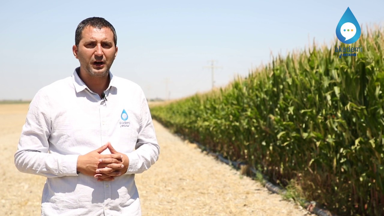 Filtrelerde tıkanma problemi nasıl çözülür?