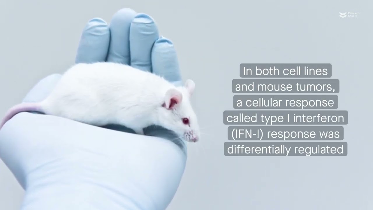 The type I interferon response is suppressed in metastatic versus non-metastatic breast cancer