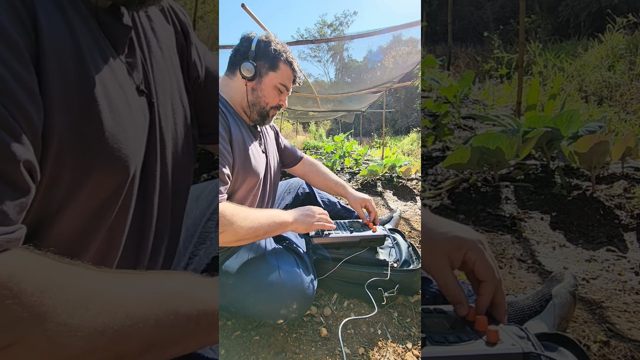 Beat funk atabaque direto da horta #musica #sp404mk2 #beats
