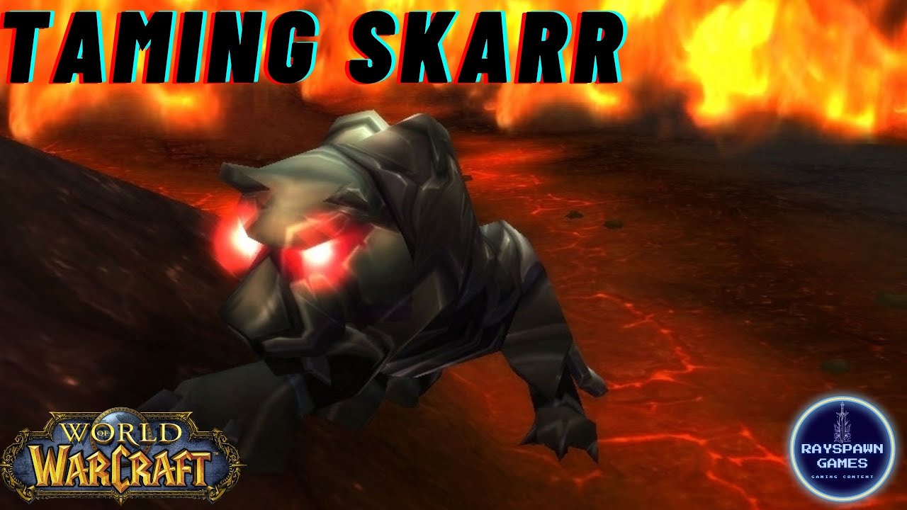 Rare Pet WoW Skarr