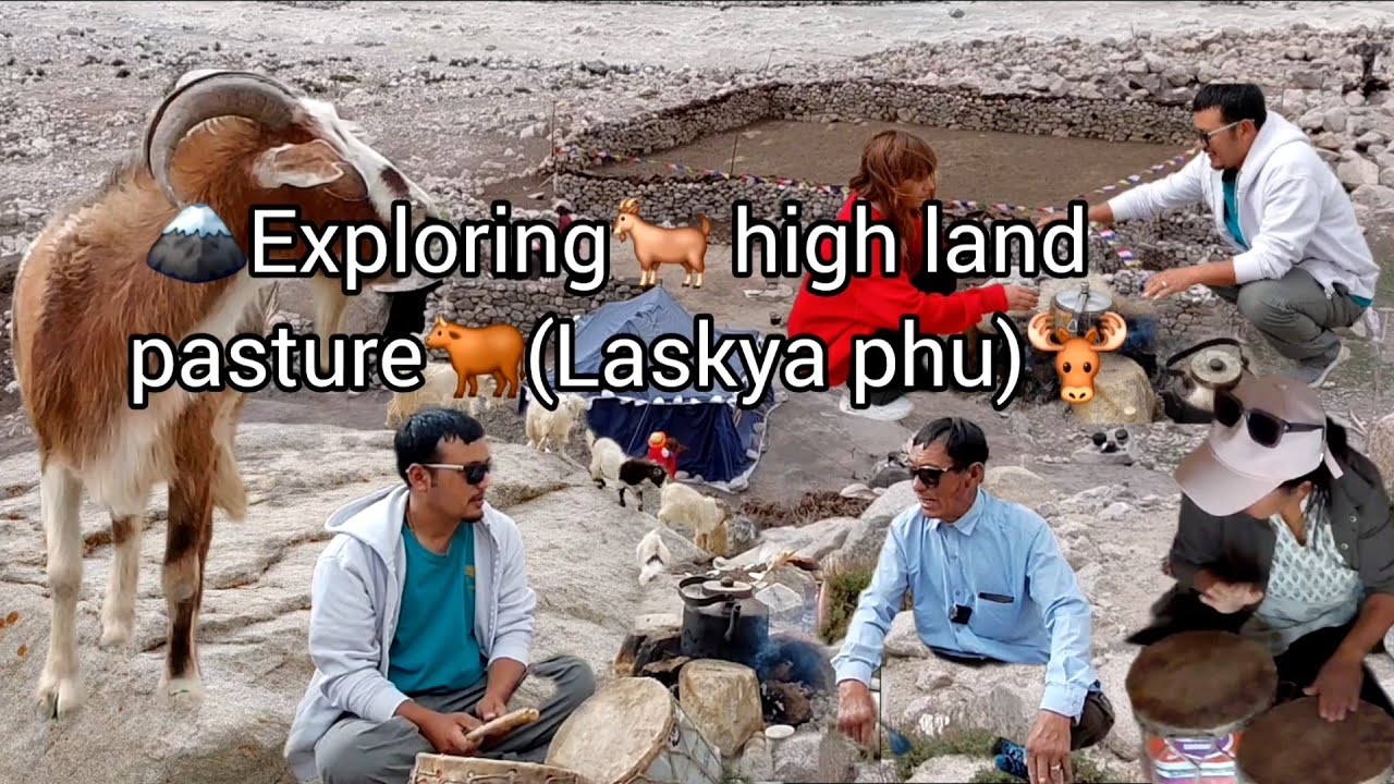 Exploring untouched high pasture (Laskya phu)|Tanigail87|#ladakh#exploring  #mountains#vlog 