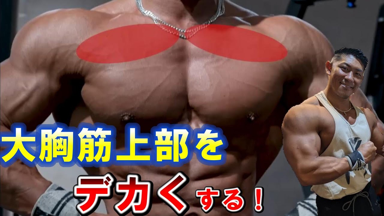 【寺島遼】大胸筋上部の厚みを作る種目は○○！胸をデカくするための筋トレ【寺島遼 / Ryo Terashima　切り抜き #筋トレ   #fwj  #胸トレ    】