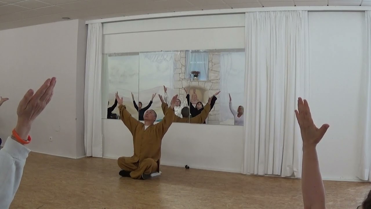 Xi Sui Jing Knochenmarkw&auml;sche   Gro&szlig;meister Shi Yong Dao