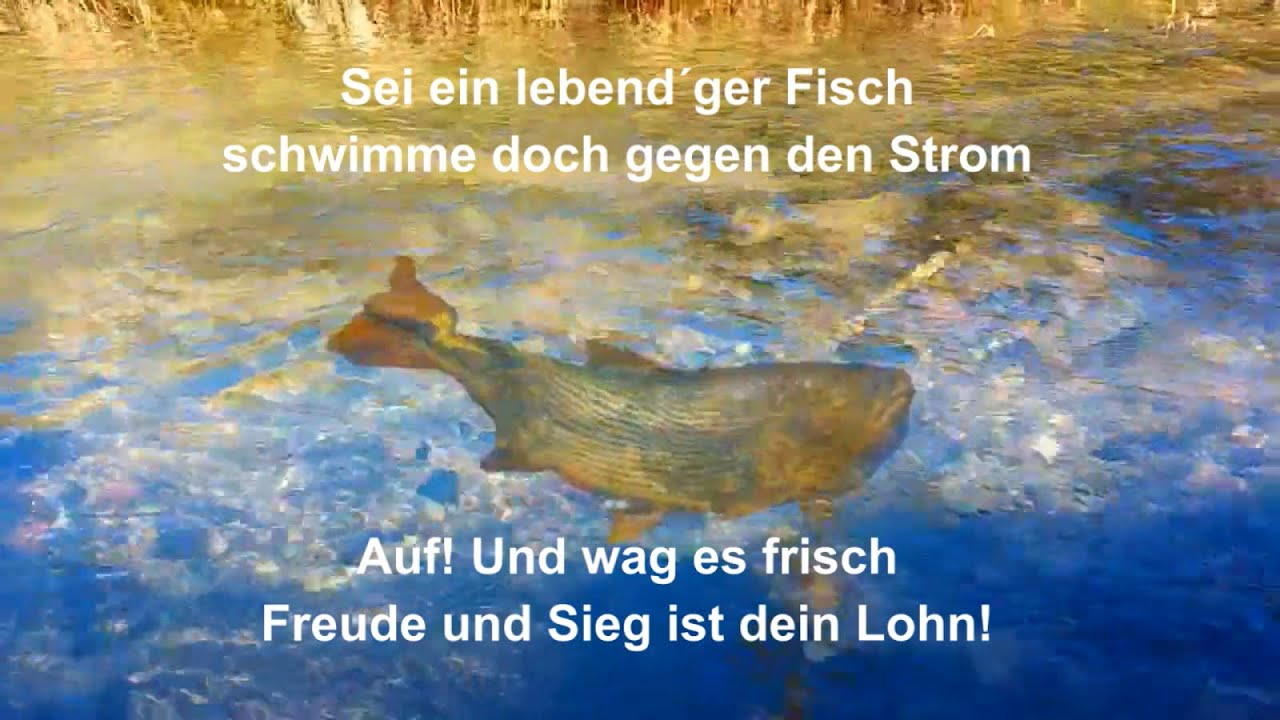 Sei ein lebendger Fisch - Rock cover by ChristWins OneWomanBand (ChriWi 1wb)