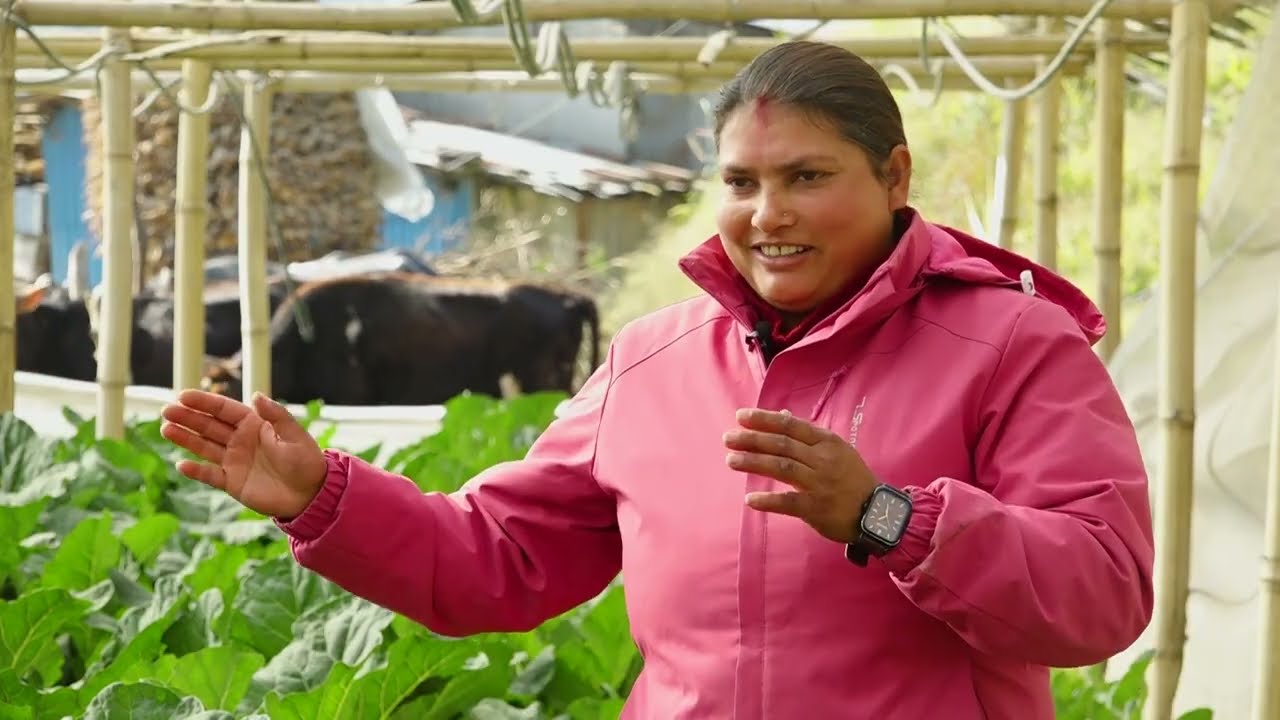 अप्सराको परिवारमा व्यवसायिक तरकारी खेतीले दिएको खुसी-नाला, काभ्रे