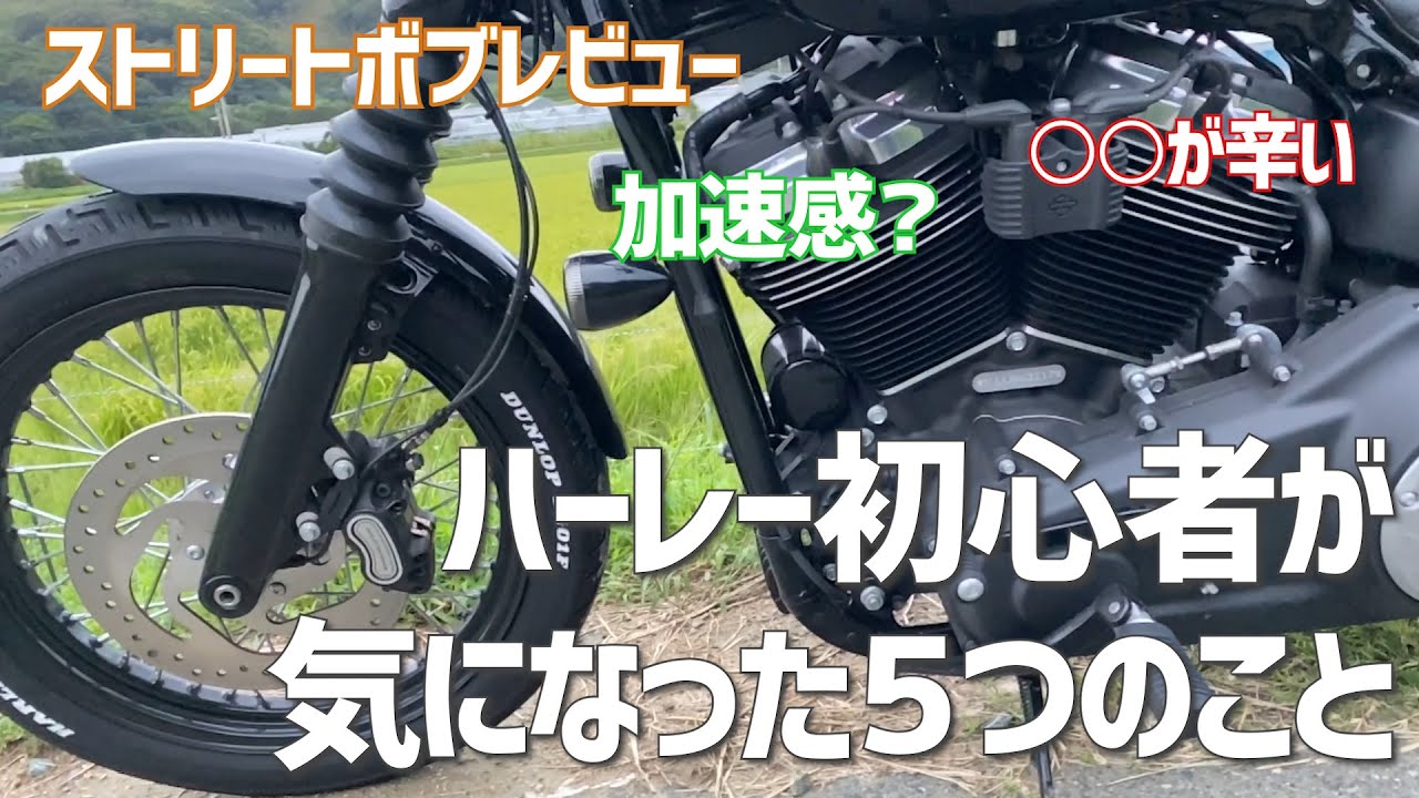 [Обзор Street Bob] Плюсы и минусы от новичка в Harley [motovlog]