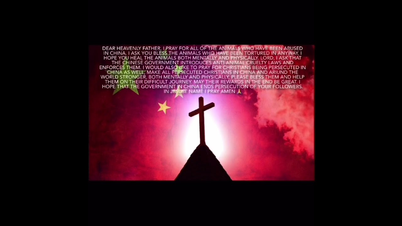 Prayer for animals abused in China and persecuted Chinese Christians 🙏