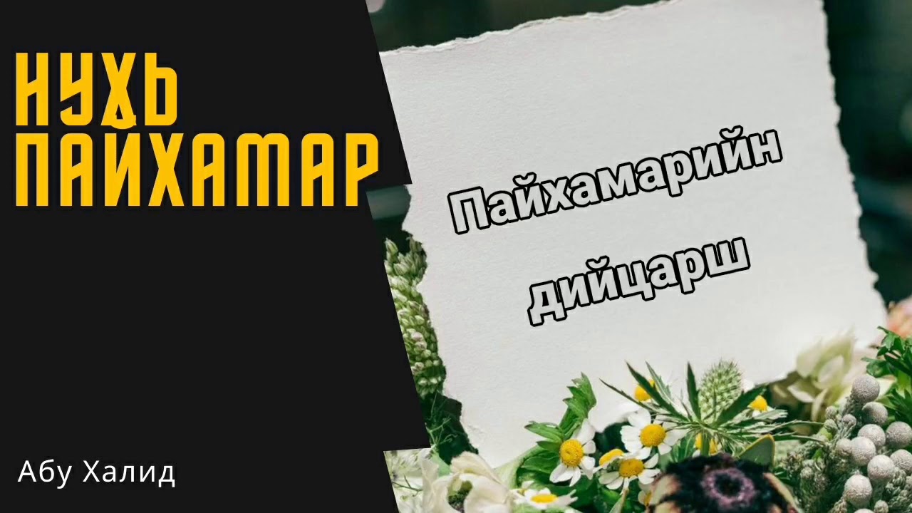 Нухь Пайхамар عليه السلام (Абу Халид)