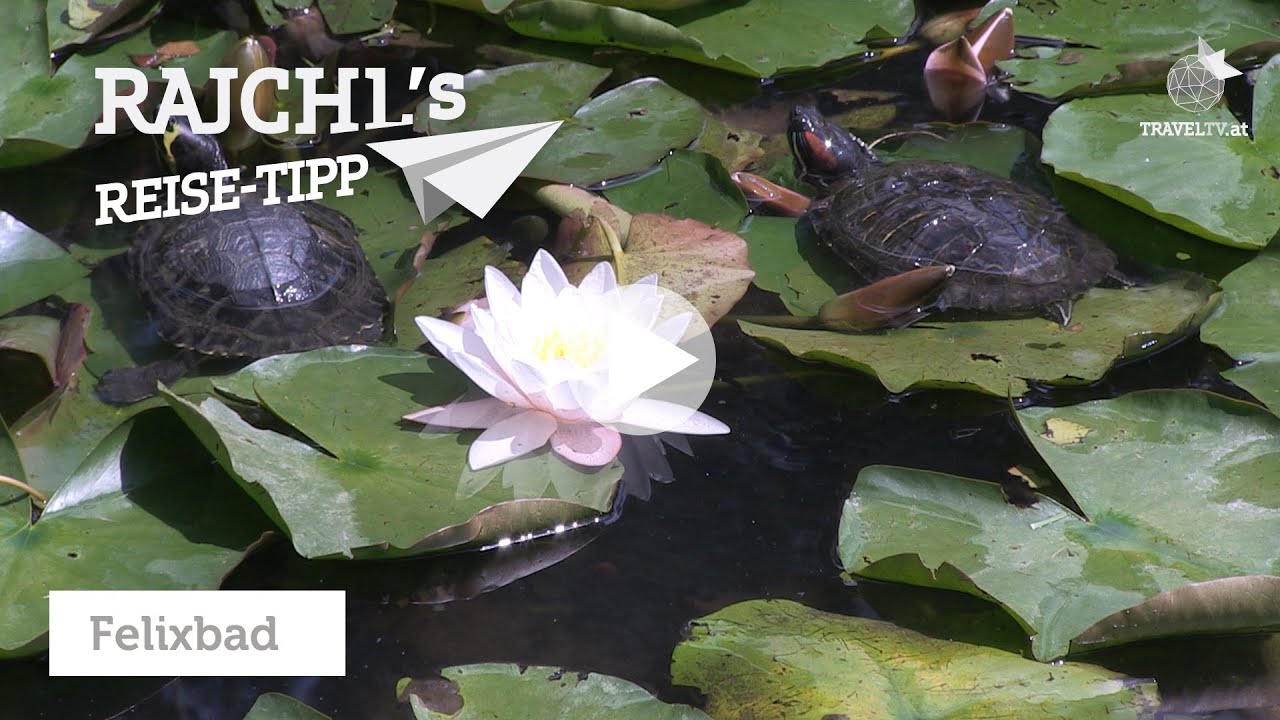 Rajchl's Reise-Tipp: G&uuml;nstig Wellnessen im rum&auml;nischen Felixbad