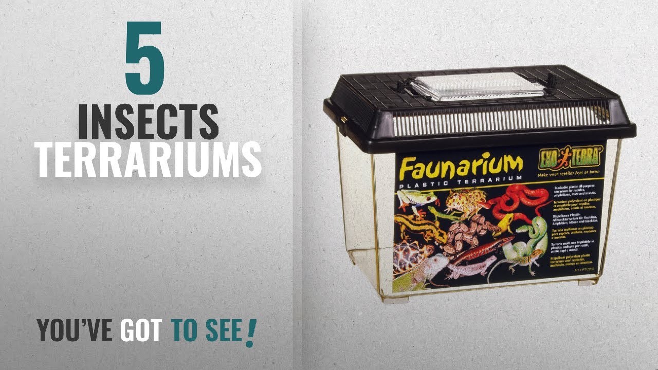 Top 10 Insects Terrariums [2018]: Exo Terra PT2255 Standard Faunarium, Small