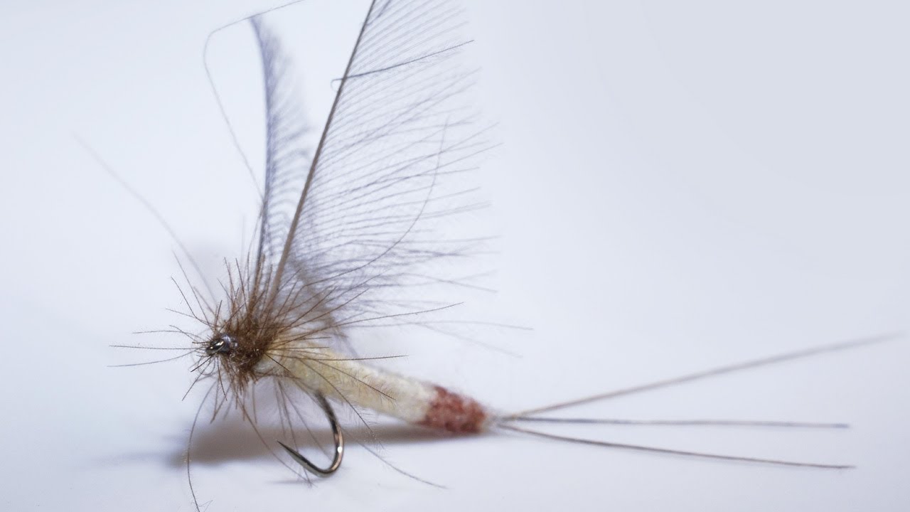 Danica, montage corps détaché. Danica dry fly.