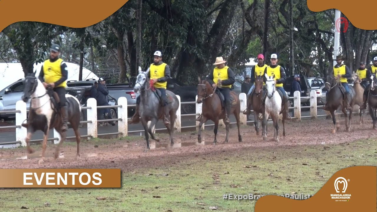 EXPOSIÇÃO DE BRAGANÇA - CATEGORIA