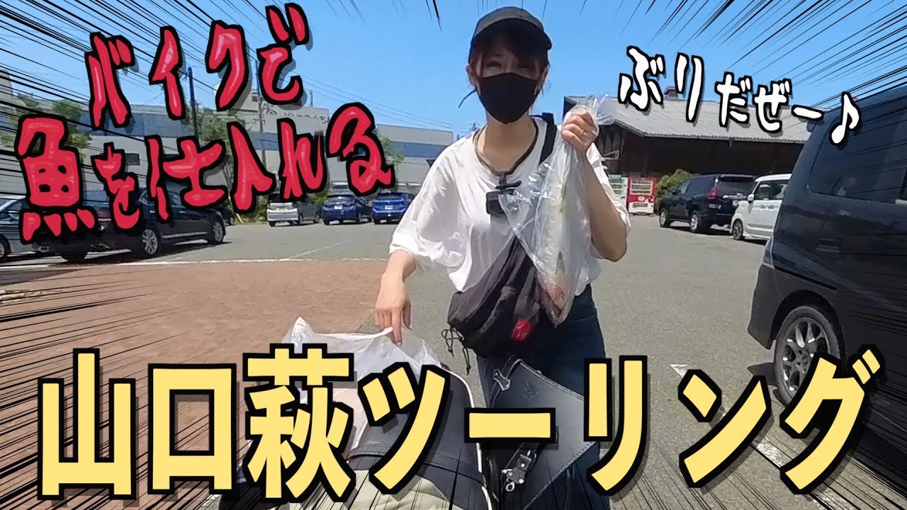 【バイク女子】海鮮丼求めて山口ツーリング！天然クーラー発見した！！【山口・萩】