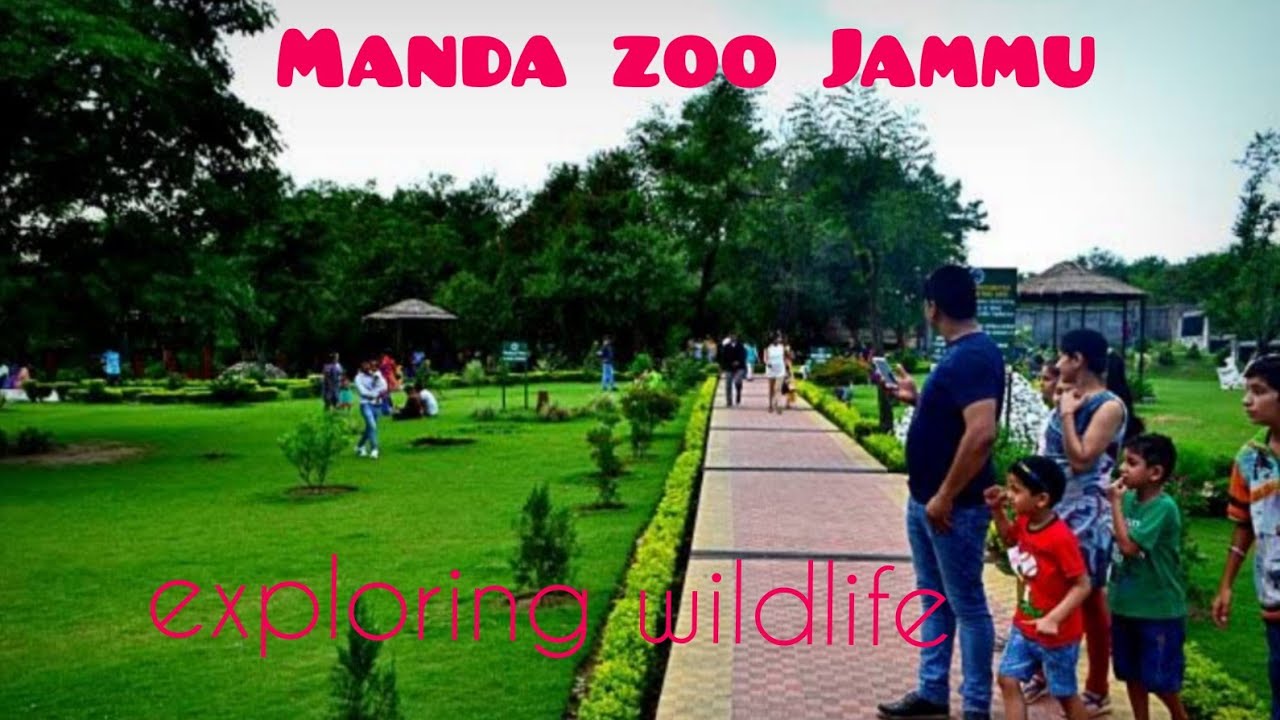 Tour of Manda zoo | Exploring wildlife | Jammu the city beautiful.