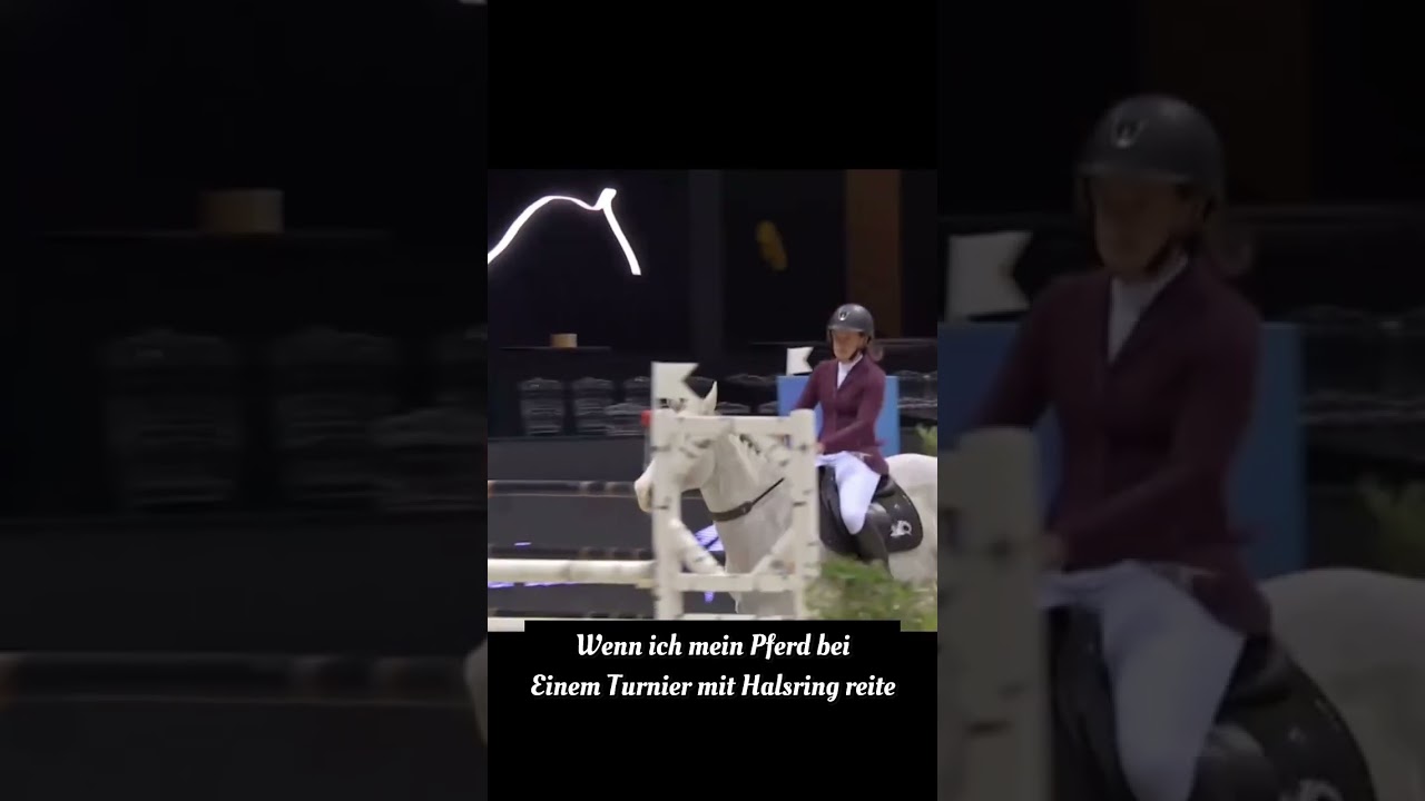 Wenn ich mein Pferd #pferdeliebe #pferdem&auml;dchen #horse #pferdezucht