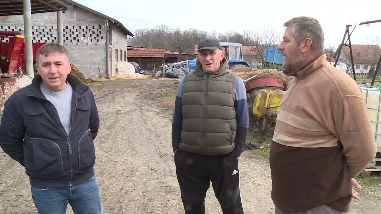 Mljekari u Tuzlanskom kantonu ostali bez otkupa, stotine litara mlijeka bez kupca