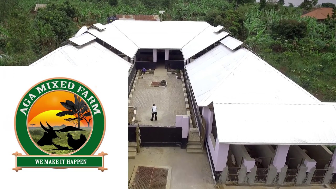 Uganda's number one farm, AGA MIXED FARM