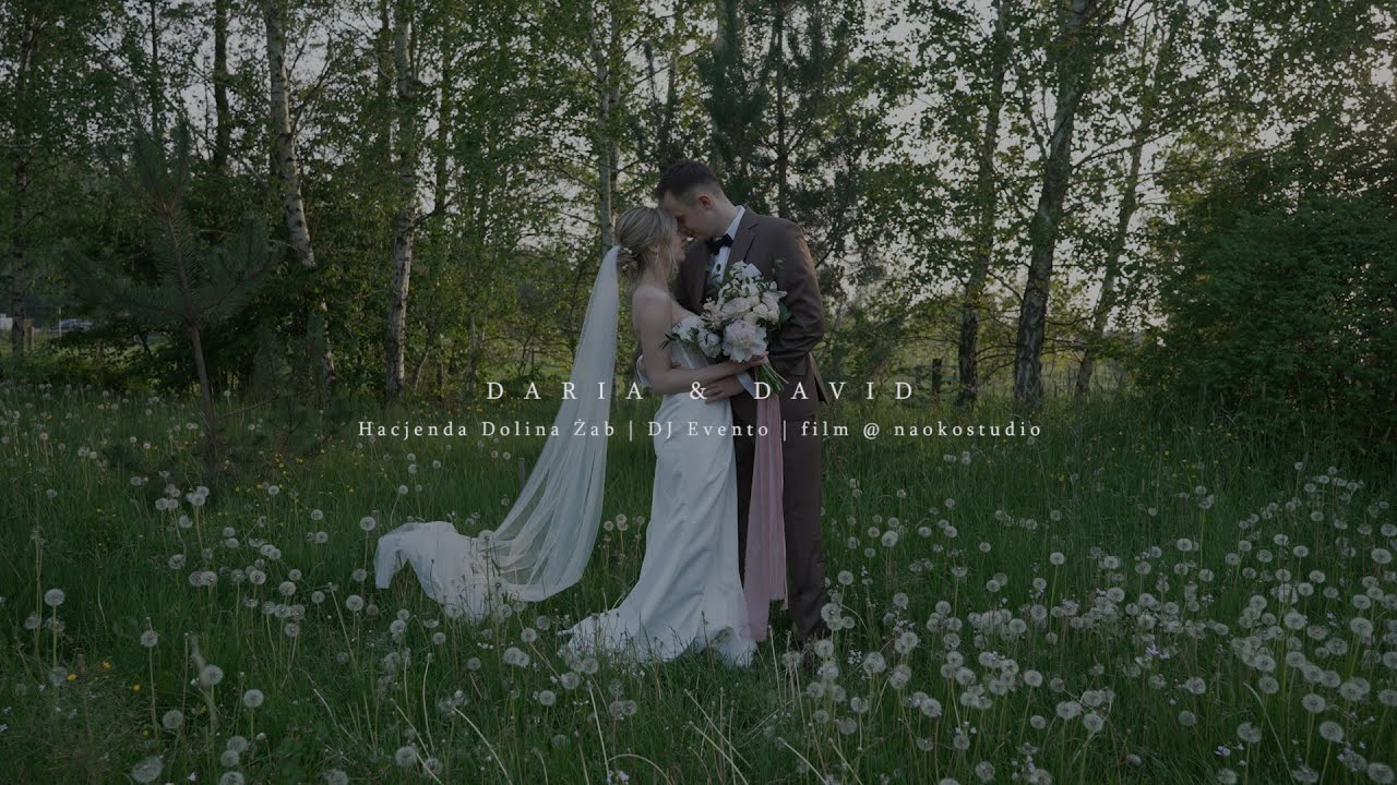 Daria & David - Wesele w Dolinie Żab