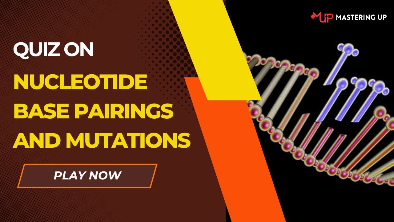 Quiz: Nucleotide Base Pairings & Mutations | #43