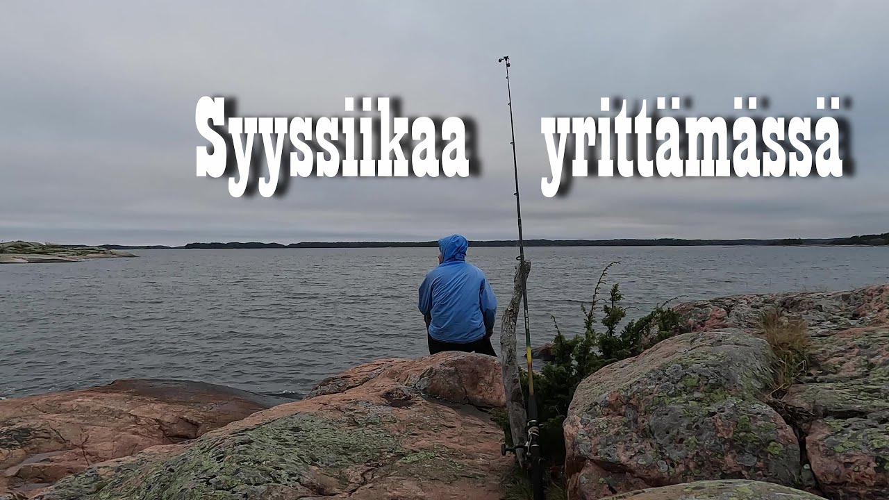Syyssiikaa yrittämässä 9.11.2024