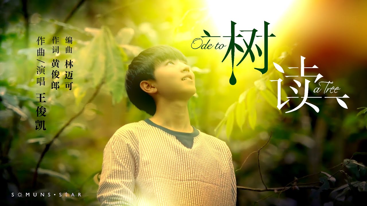 【TFBOYS 王俊凯】飯製 王俊凱樹讀MV【Karry Wang Junkai】