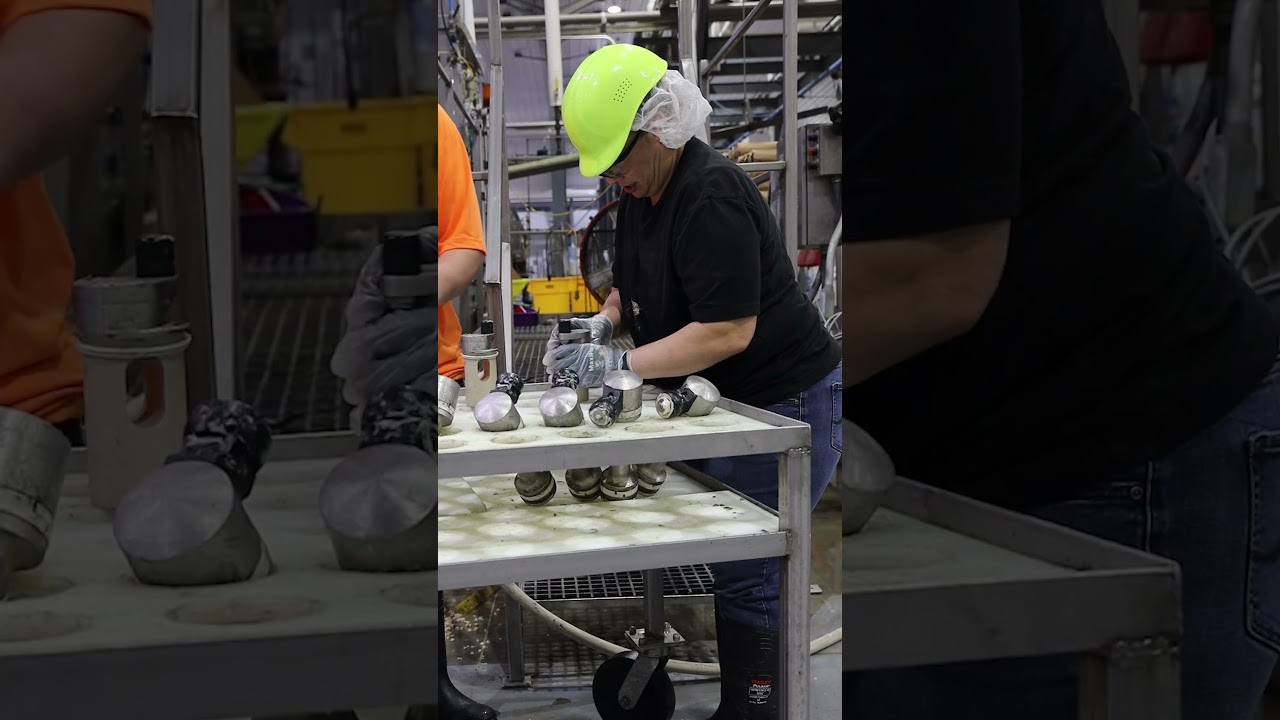A Day in the Life as a Sanitation Worker - Performance Pet Products