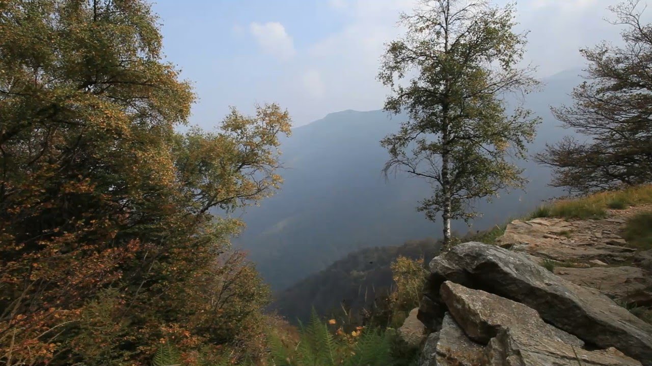 Relaxing Music with Wind Sound at The Top of The Mountain | Stress Relief | Beautiful Mind
