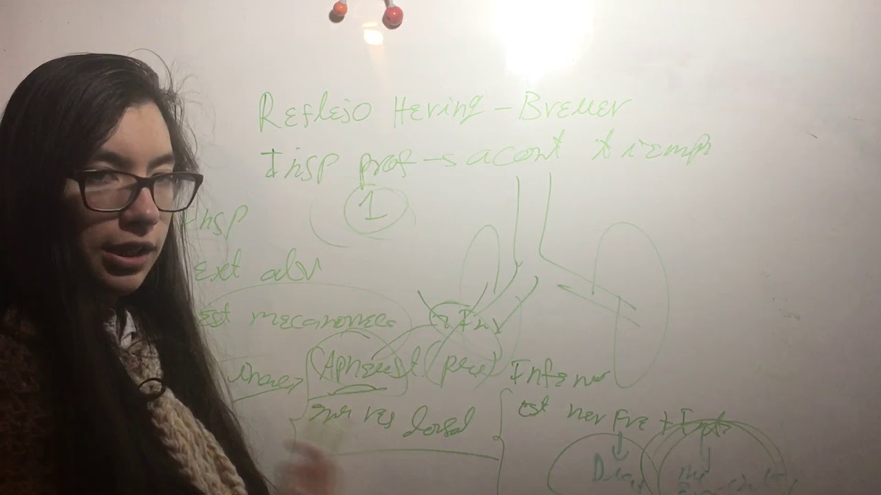Reflejo de Hering-Breuer. Fisiología Pulmonar