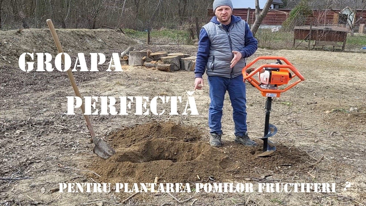 Cum se fac gropile pentru plantarea pomilor fructiferi? Motoburghiu Ruris TT14